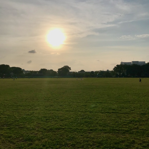 黄昏の中央公園