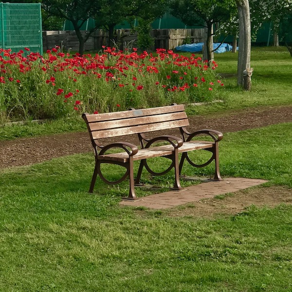 公園の空っぽのベンチ