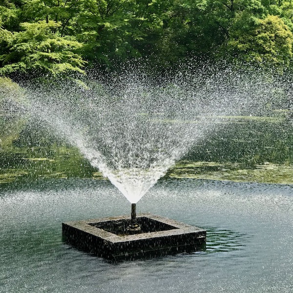 井の頭公園の噴水