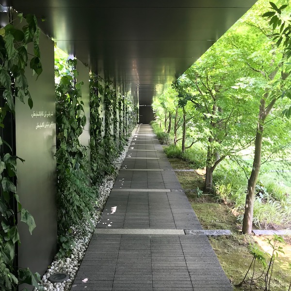 知恵の小径