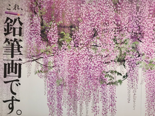 吉村芳生展