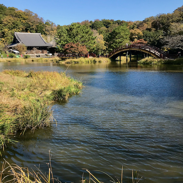 称名寺、阿字が池と太鼓橋