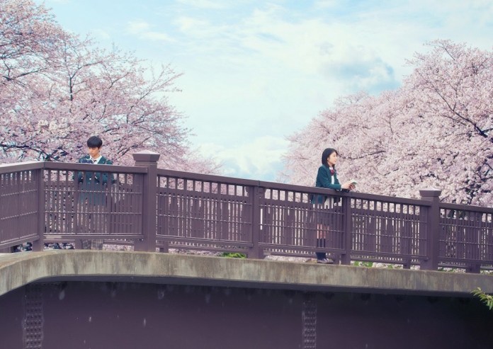 『君の膵臓をたべたい』