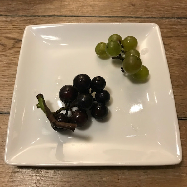 ソーヴィニオンブランとピノノワール