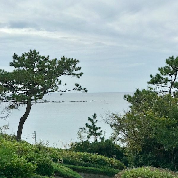 葉山の海