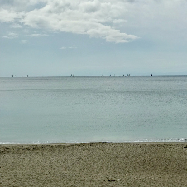 葉山海岸
