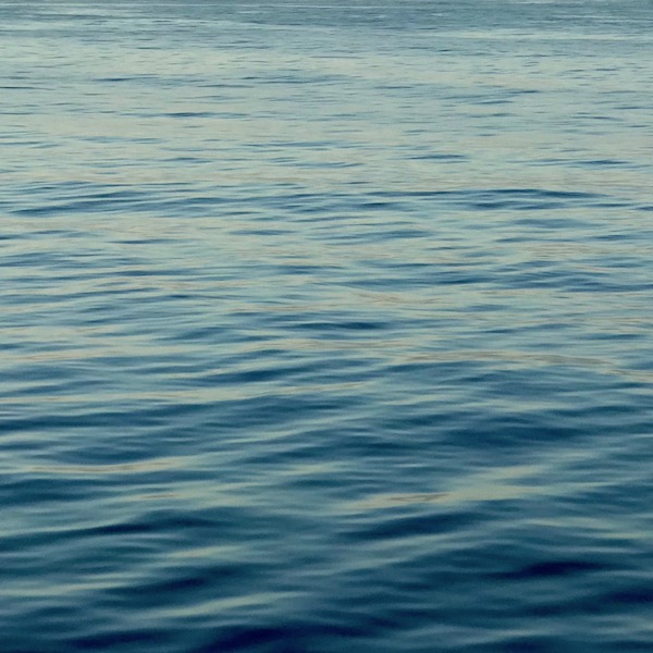 海
