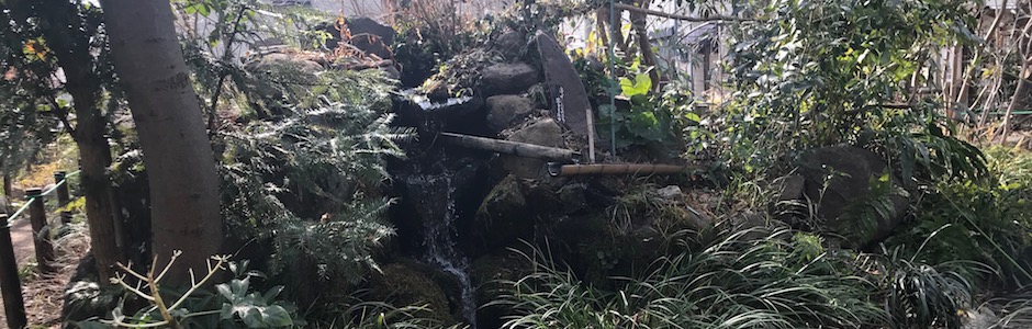 公園の小さな滝