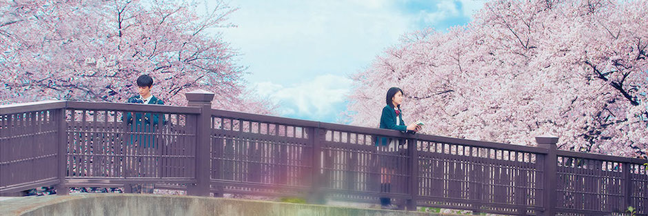 『君の膵臓をたべたい』ポスター