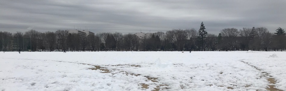 今年の雪