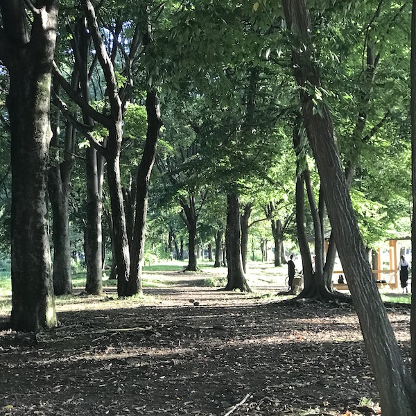 公園の小径