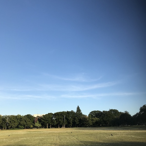 武蔵野中央公園の空