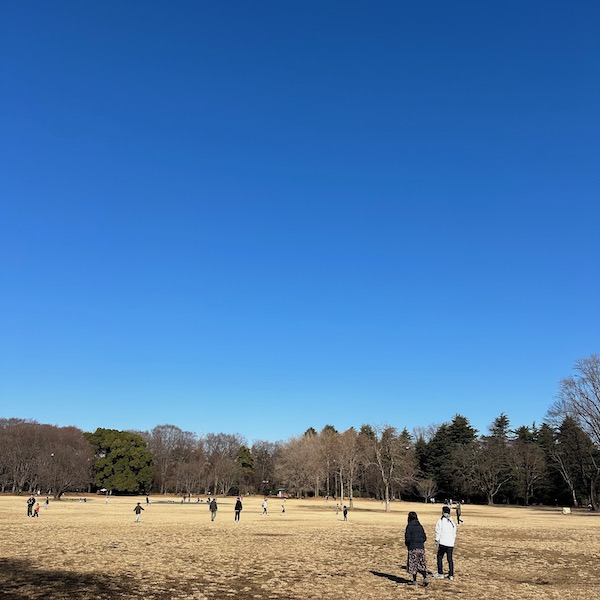 小金井公園の青空
