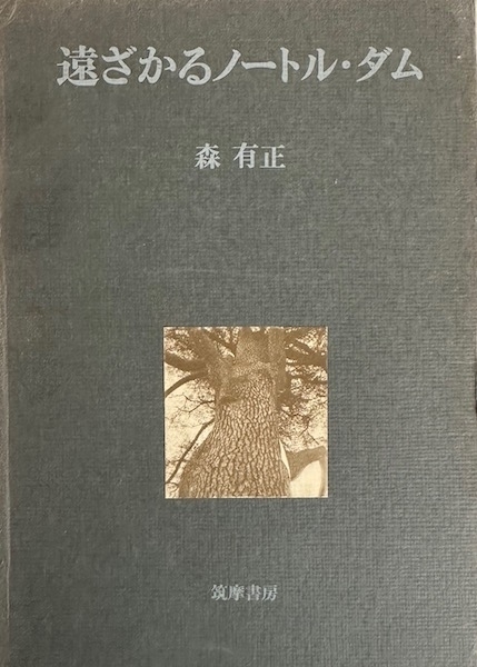 『遠ざかるノートルダム』、書影