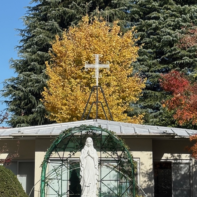 井の頭公園の紅葉