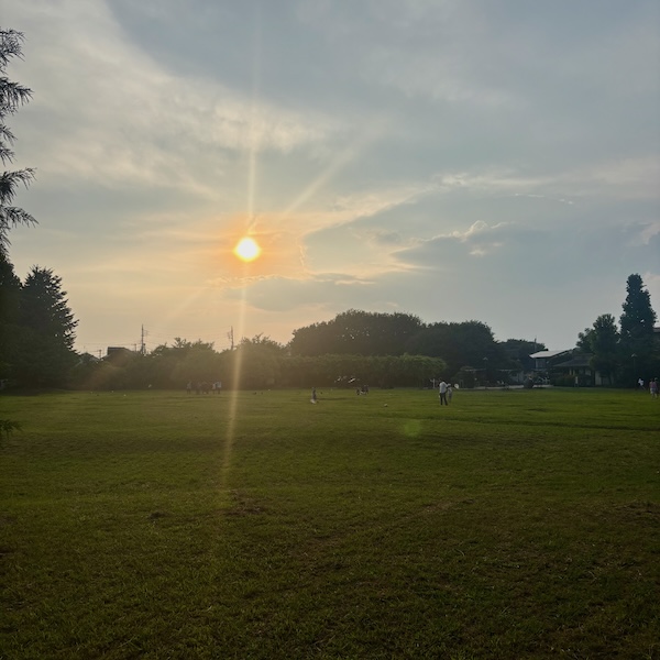 夕暮れの公園