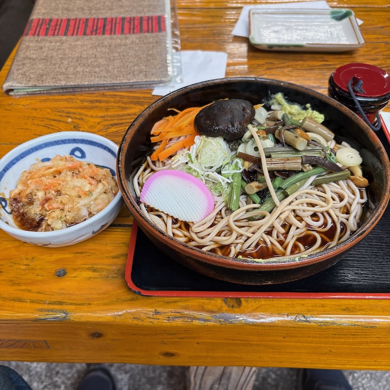 冷やし山菜そば