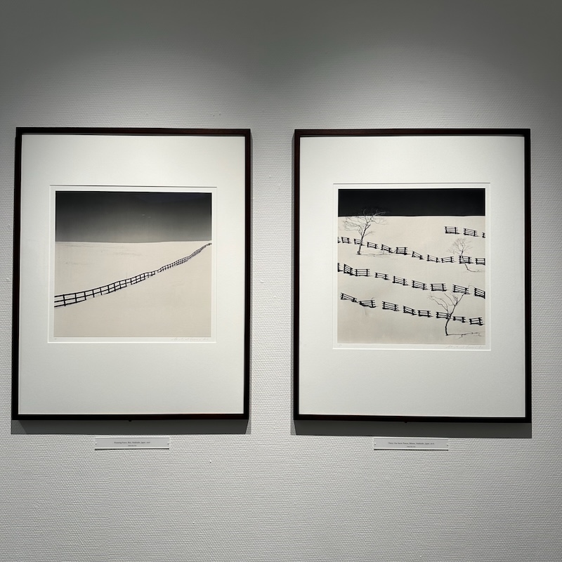 写真2枚