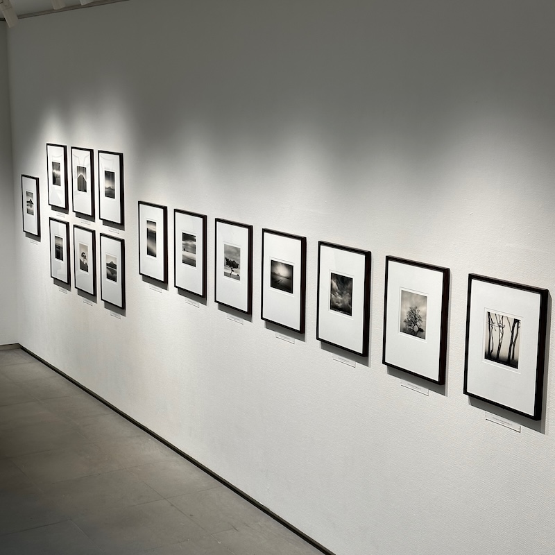 写真が展示されているギャラリー