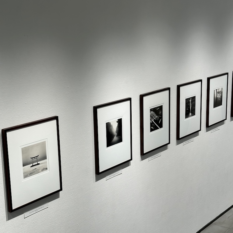 写真が展示されているギャラリー