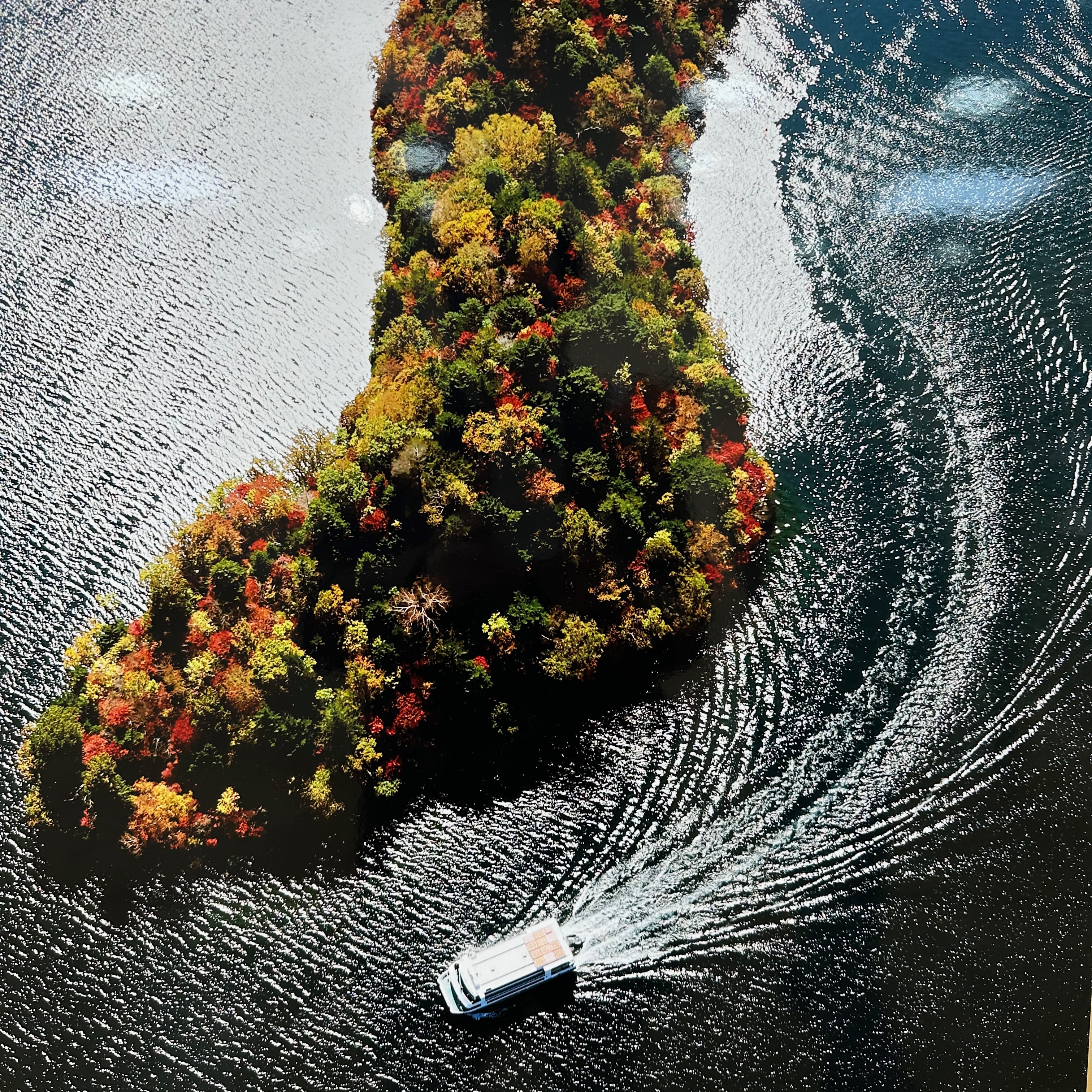 中禅寺湖の紅葉