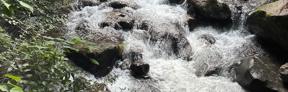 激しい川の流れ