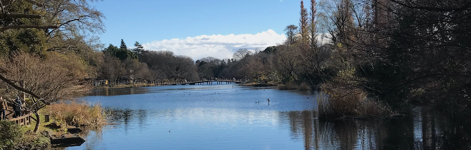 井の頭公園