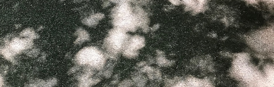 木陰