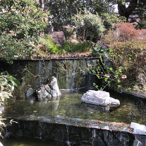 庭園の滝