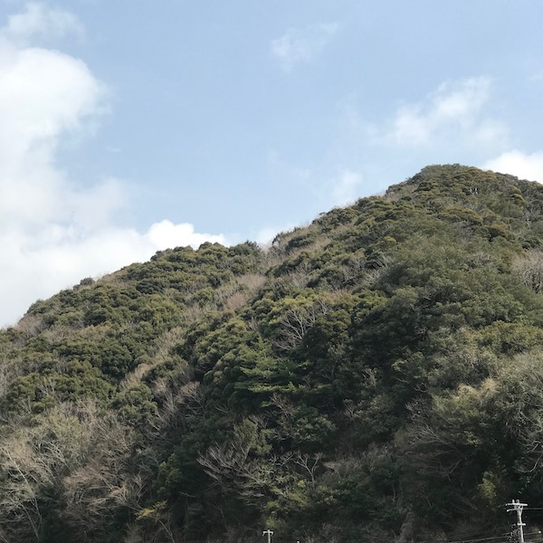 蓮台寺の山