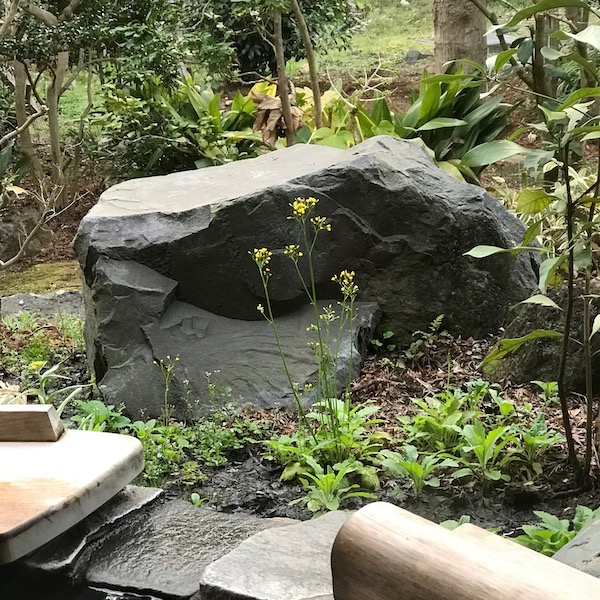 菜の花